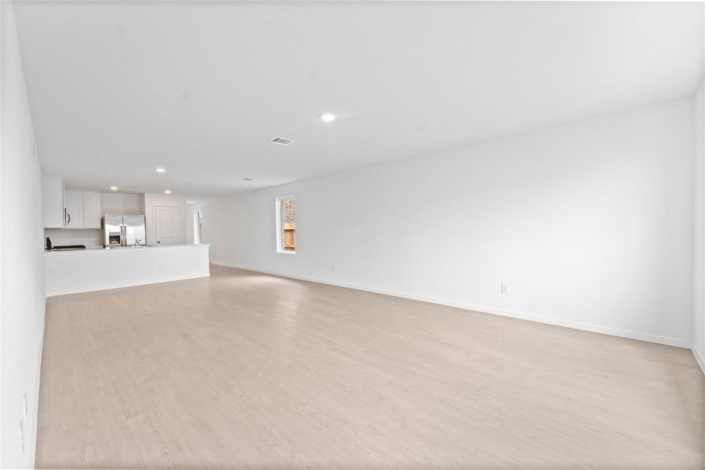 28735 Texas Plains Drive - Photo 4