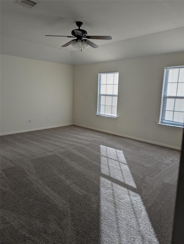3919 Hollow Cove Lane - Photo 10