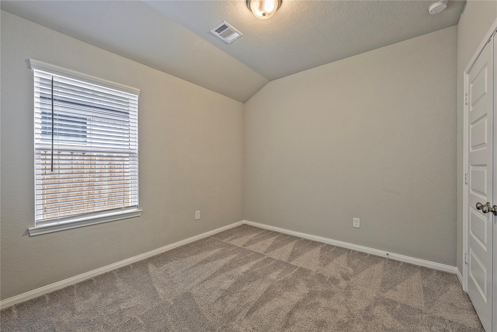 17502 Rosette Grass Drive - Photo 11