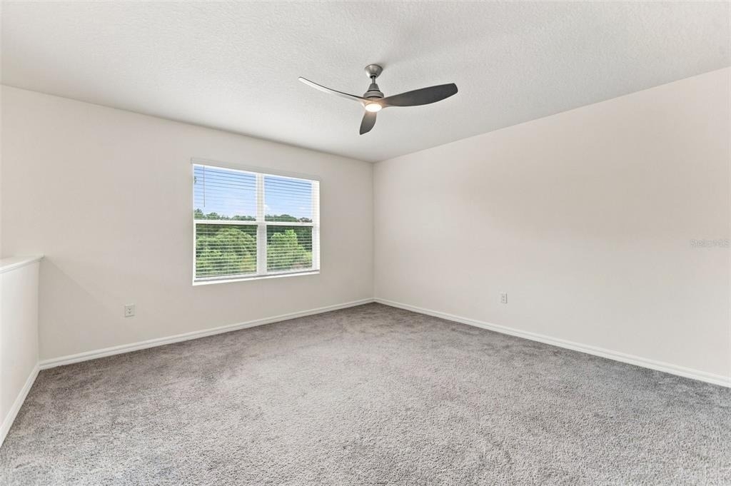 33367 Apricot Tree Court - Photo 16