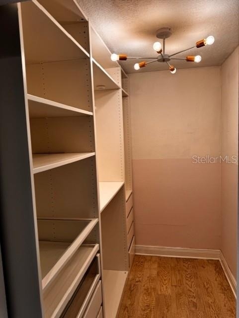 2519 Southern Oak Circle - Photo 23