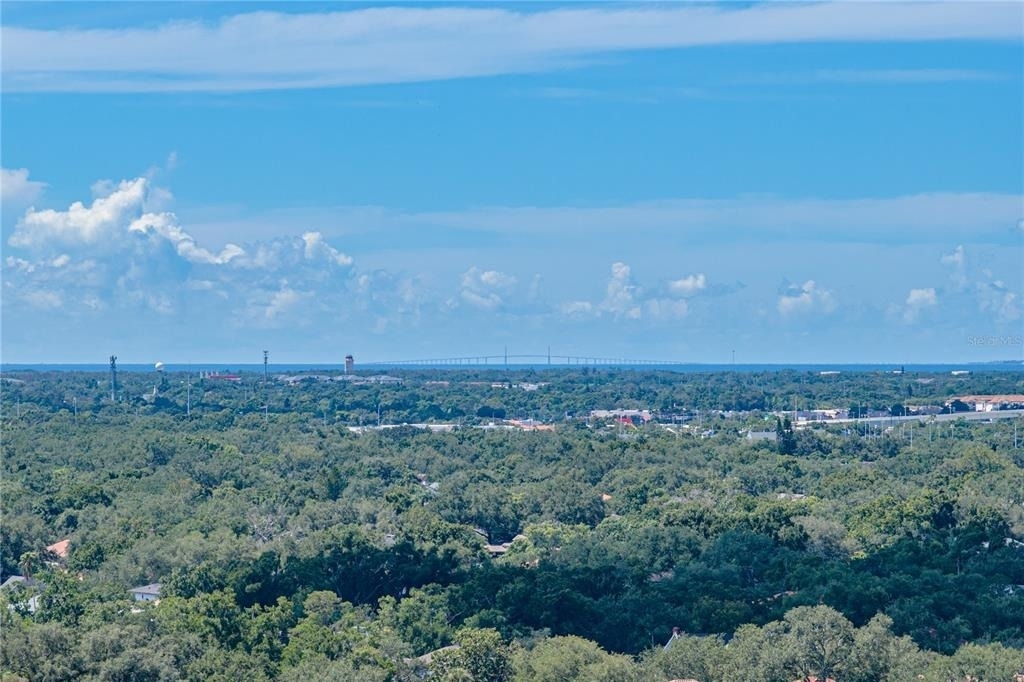 3301 Bayshore Boulevard - Photo 13