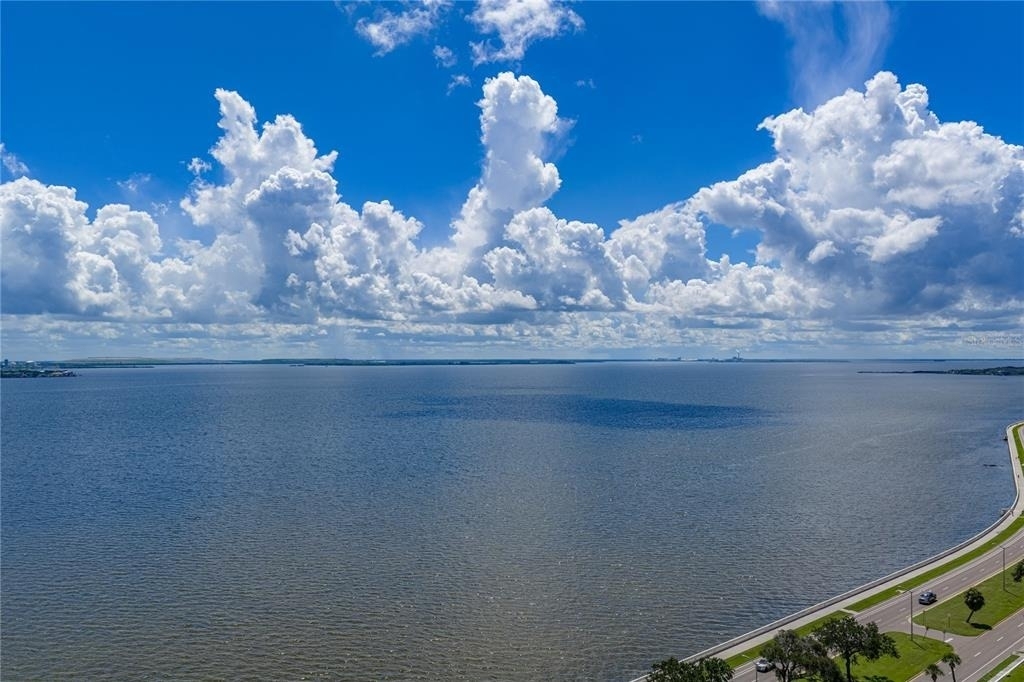 3301 Bayshore Boulevard - Photo 14