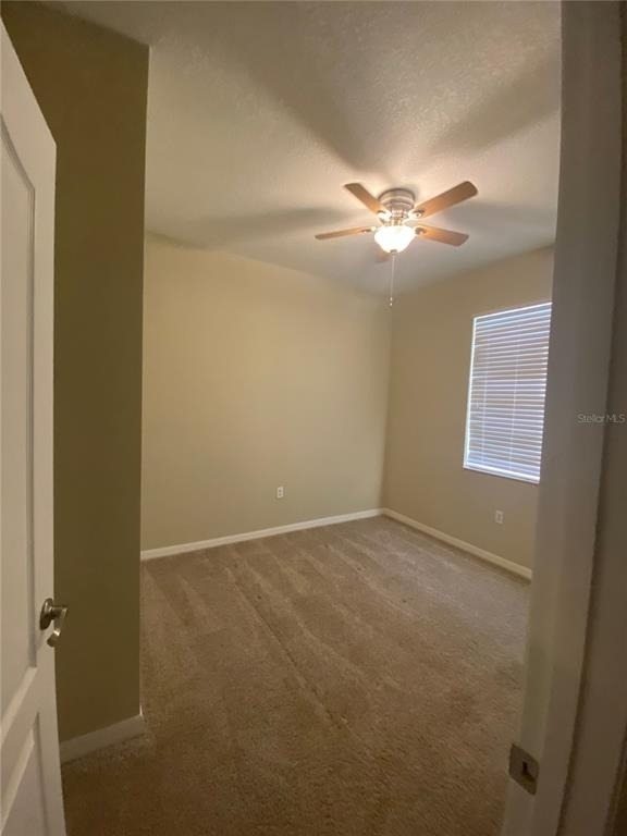 10161 Granite Bay Drive - Photo 16
