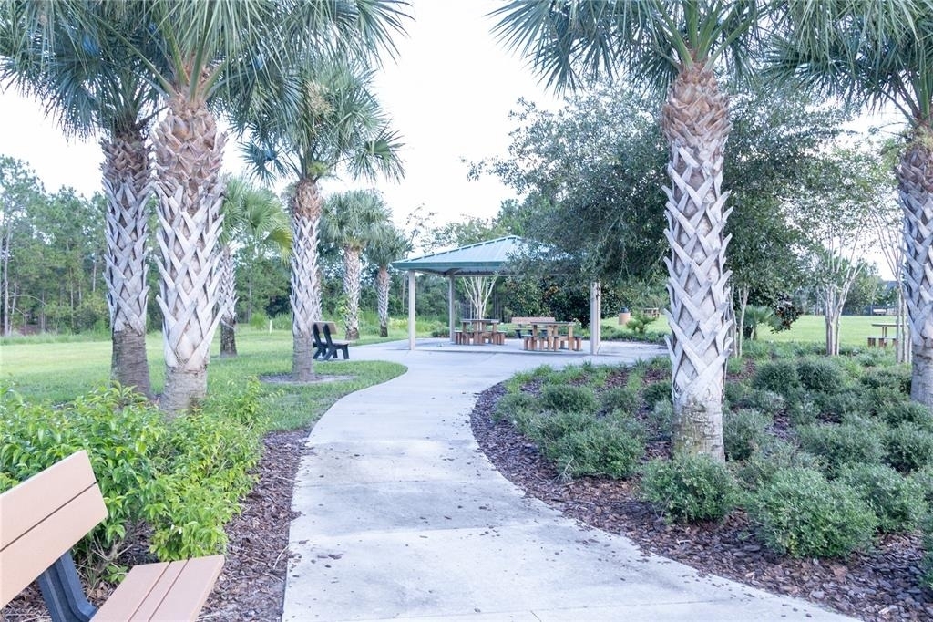6691 Alder Road - Photo 13