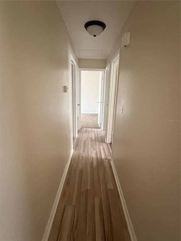 424 Marimar Street - Photo 8