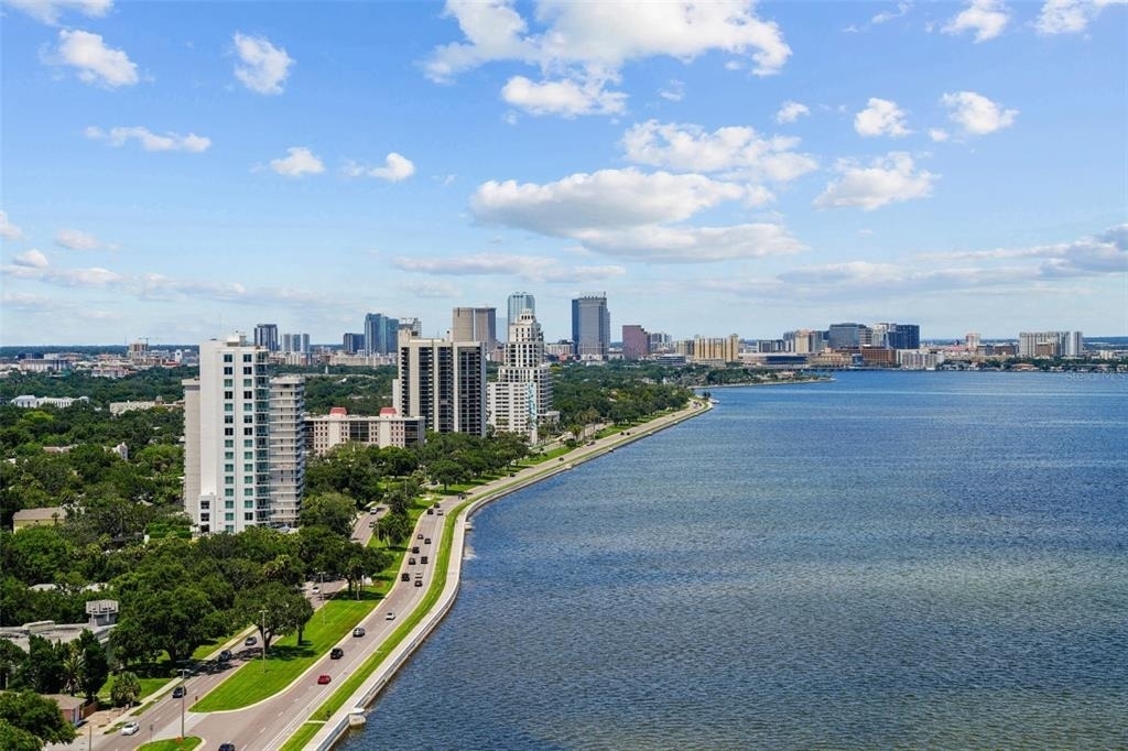 3101 Bayshore Boulevard - Photo 7