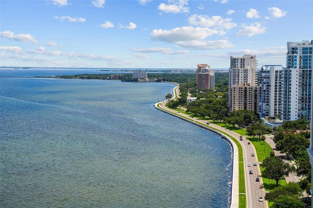 3101 Bayshore Boulevard - Photo 9