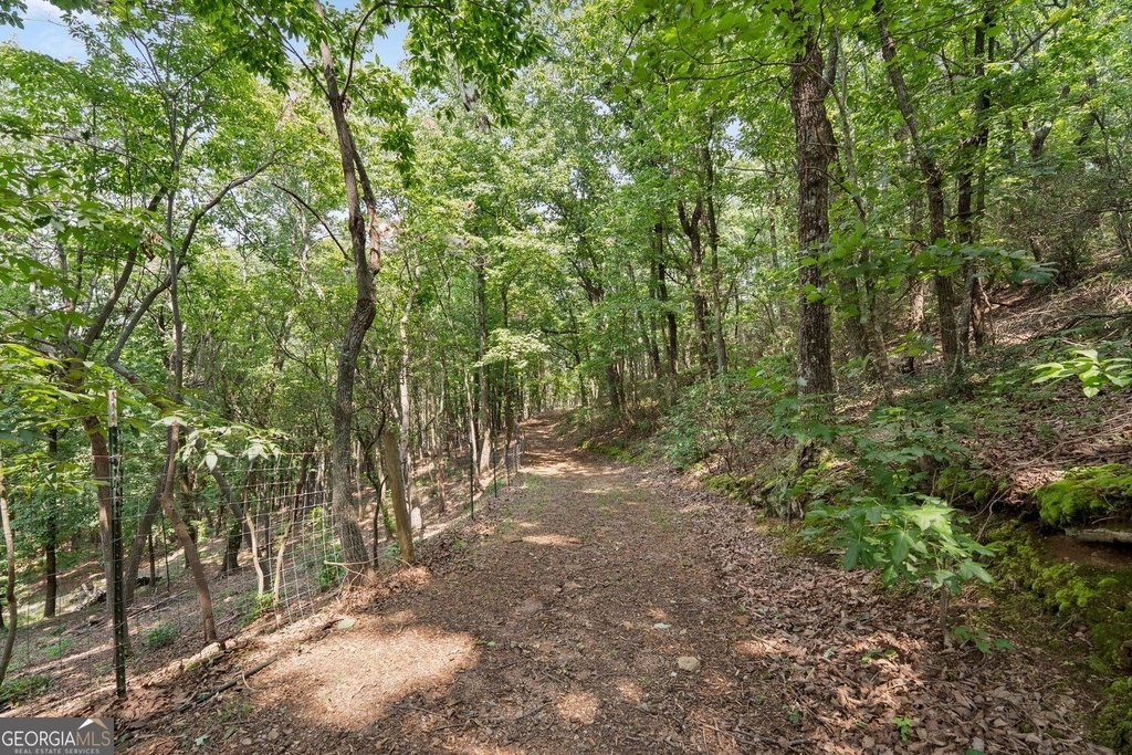 265 Lynda Lane - Photo 47