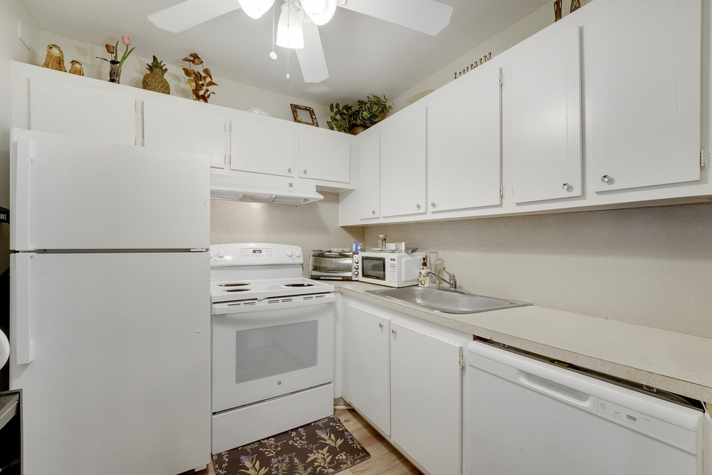 146 Mansfield D - Photo 6