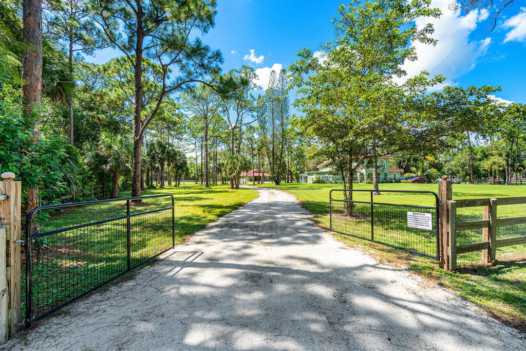 1835 Stallion Drive - Photo 12