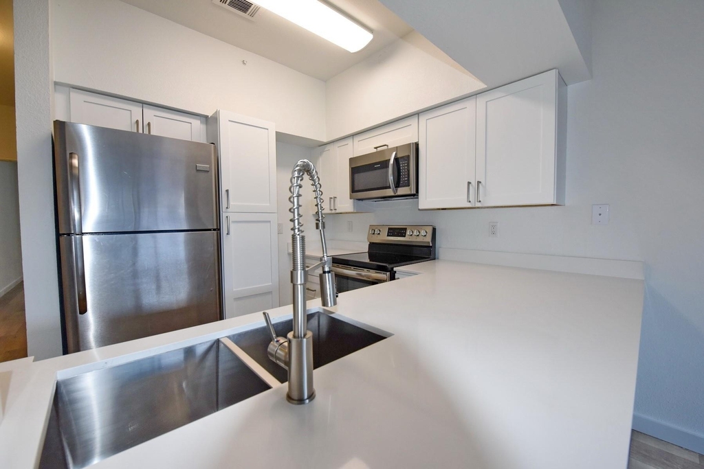 3701 Cedarplaza Lane - Photo 5