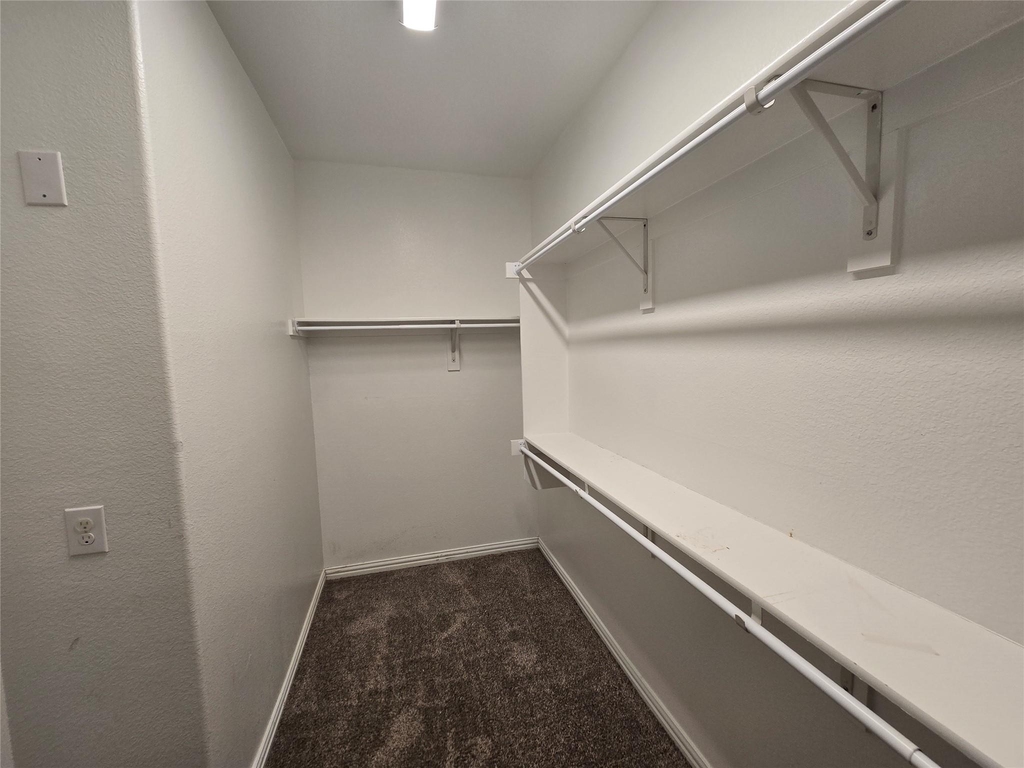 2009 Rosebury Lane - Photo 13
