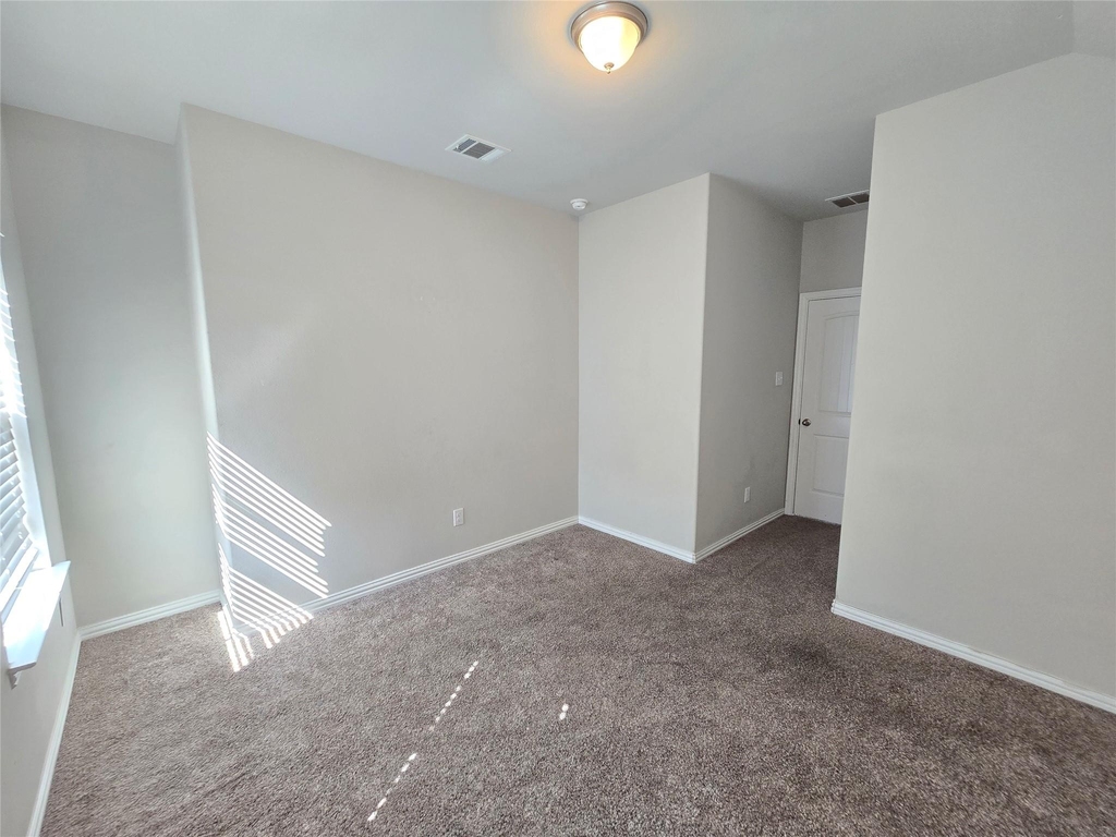 2009 Rosebury Lane - Photo 19