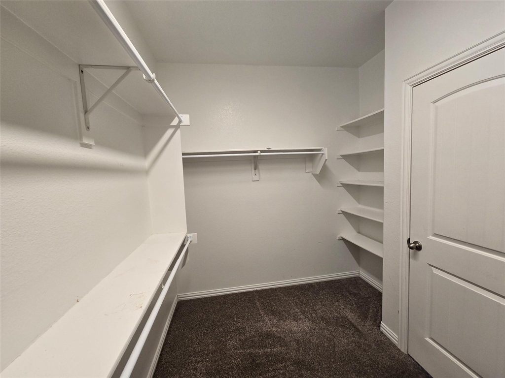 2009 Rosebury Lane - Photo 12