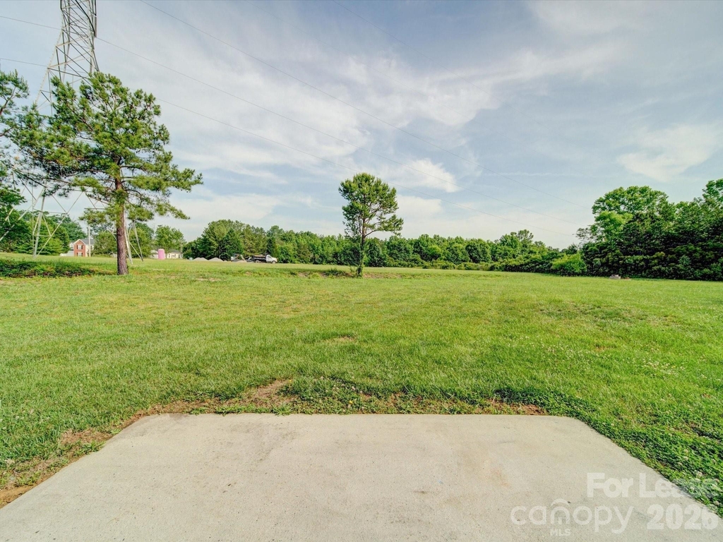3702 Cardinal Bluff Lane - Photo 41
