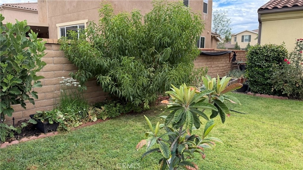 35081 Deer Spring - Photo 20