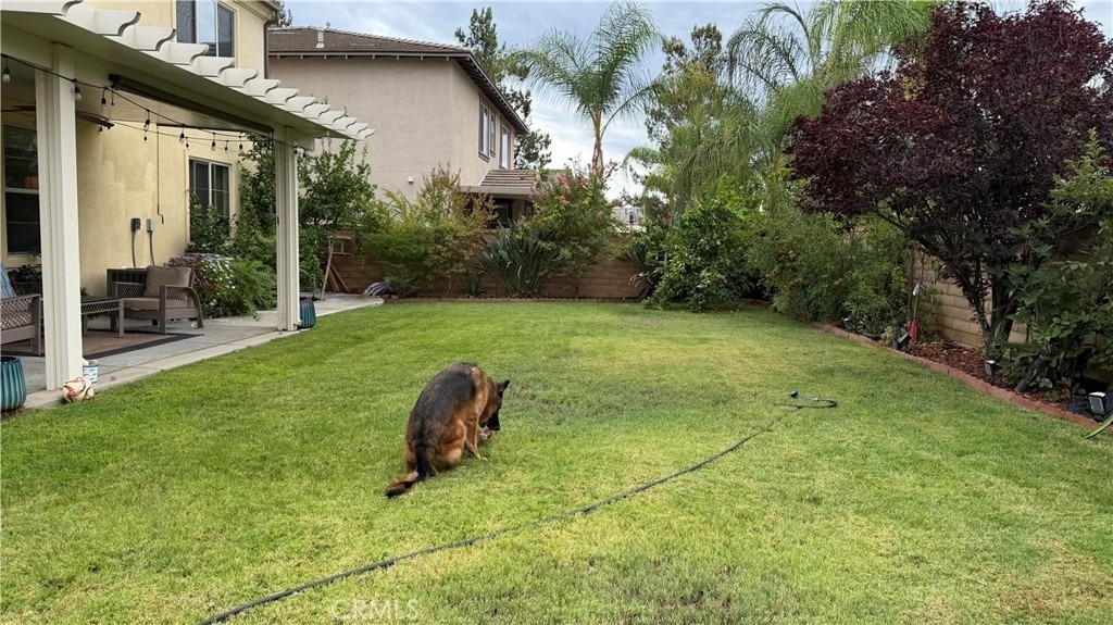 35081 Deer Spring - Photo 25