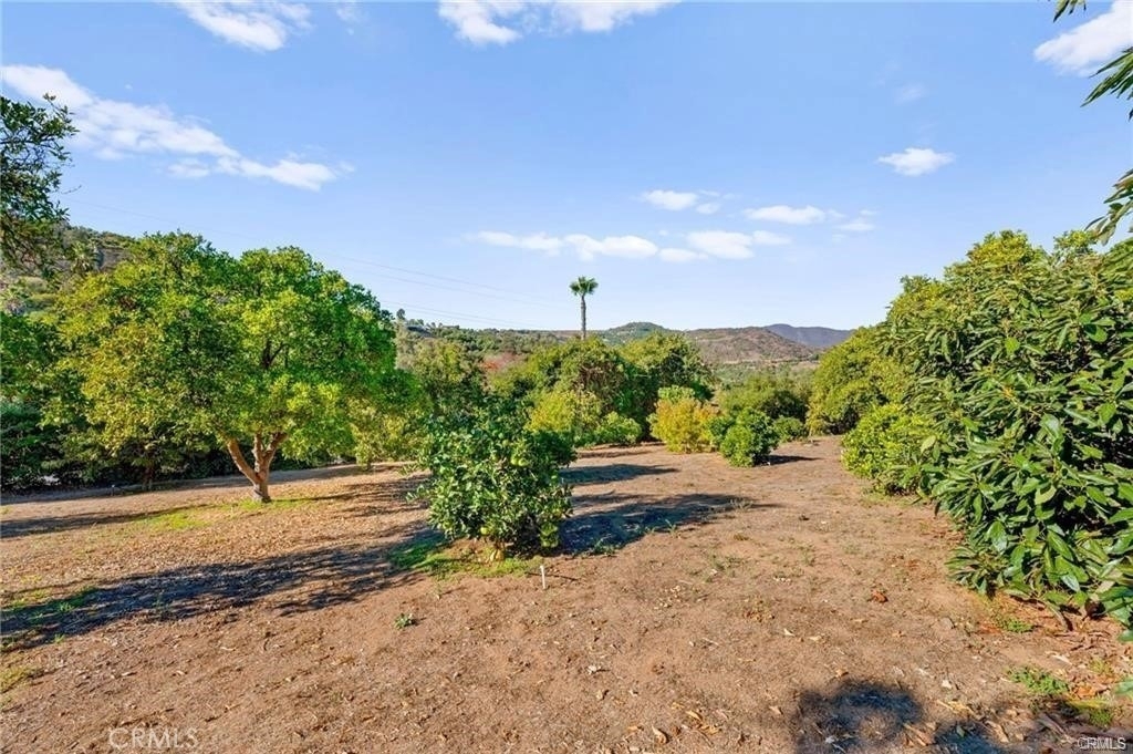 3945 Pala Mesa - Photo 70