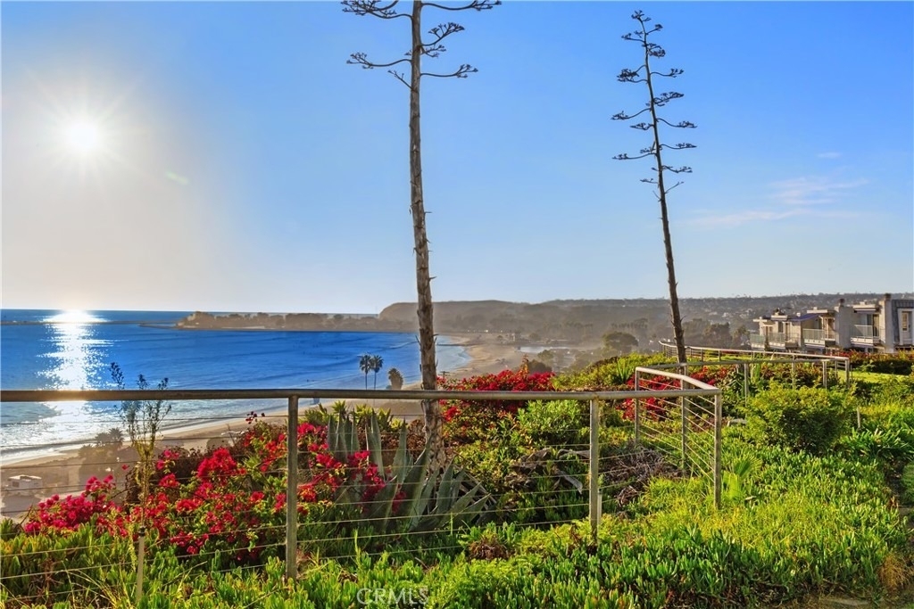 26026 Dana Bluff E W - Photo 37