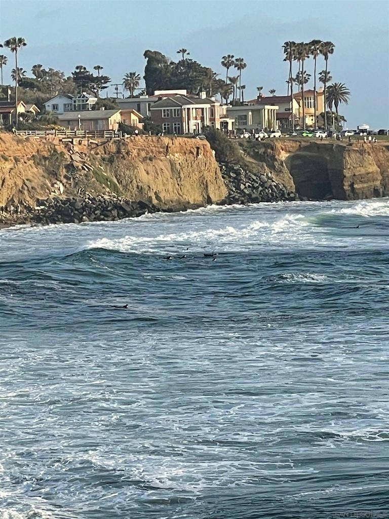 1641 Sunset Cliffs Blvd - Photo 7