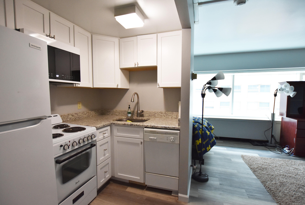 555 E William Street - Photo 6