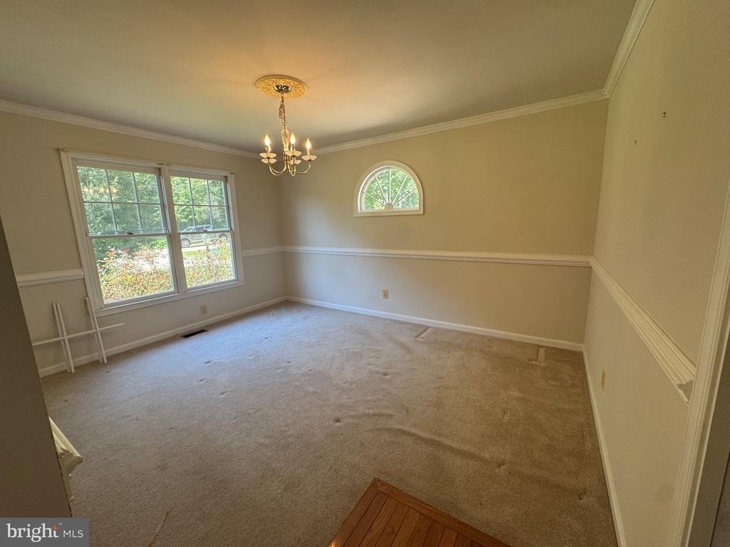8227 Old Plank Road - Photo 6