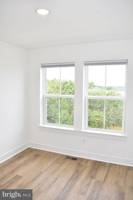 9604 Blue Ash Alley - Photo 19