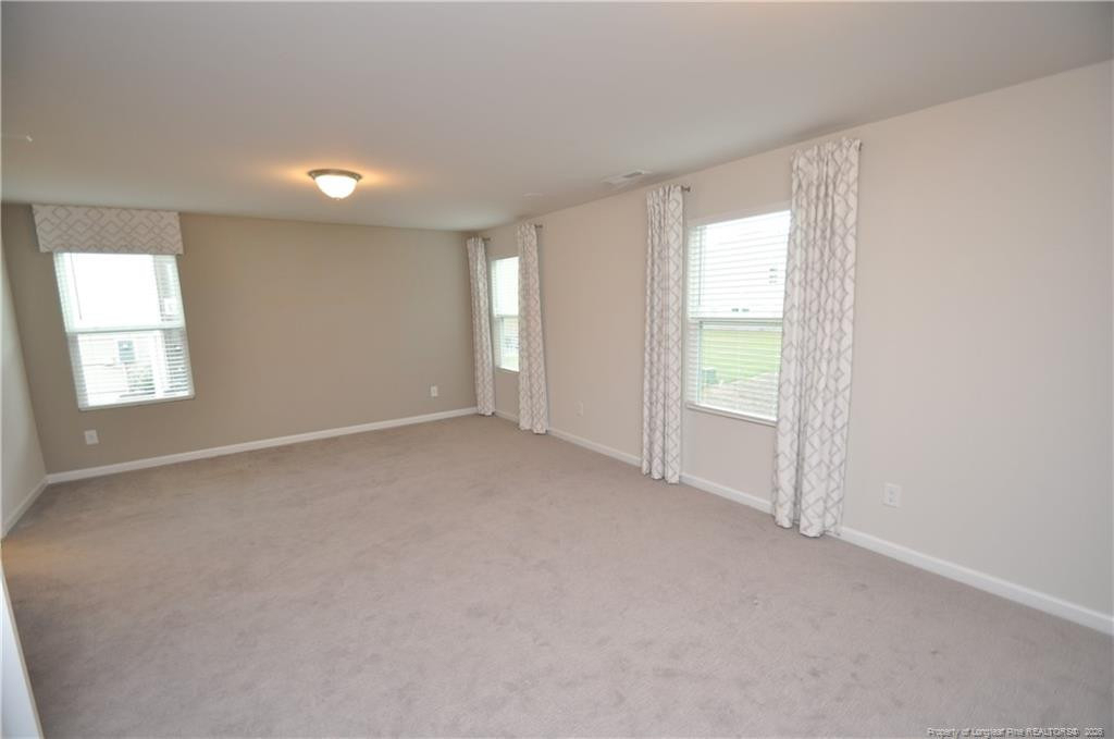 1107 Doe Blossom Lane - Photo 22