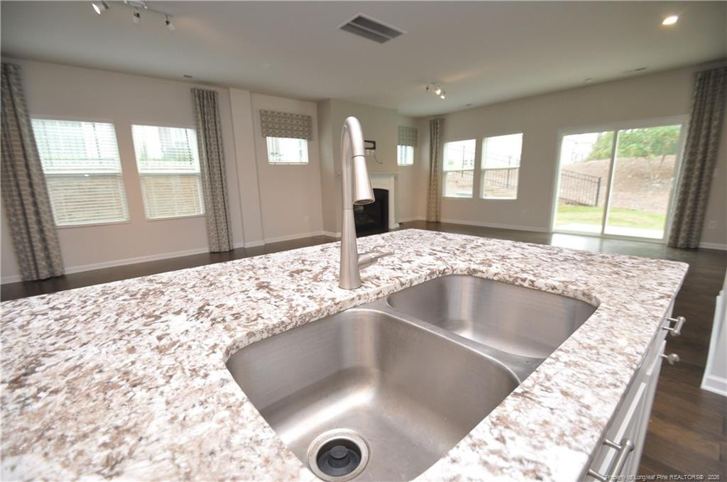 1107 Doe Blossom Lane - Photo 10