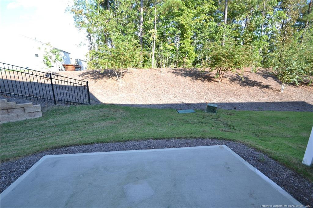 1107 Doe Blossom Lane - Photo 44