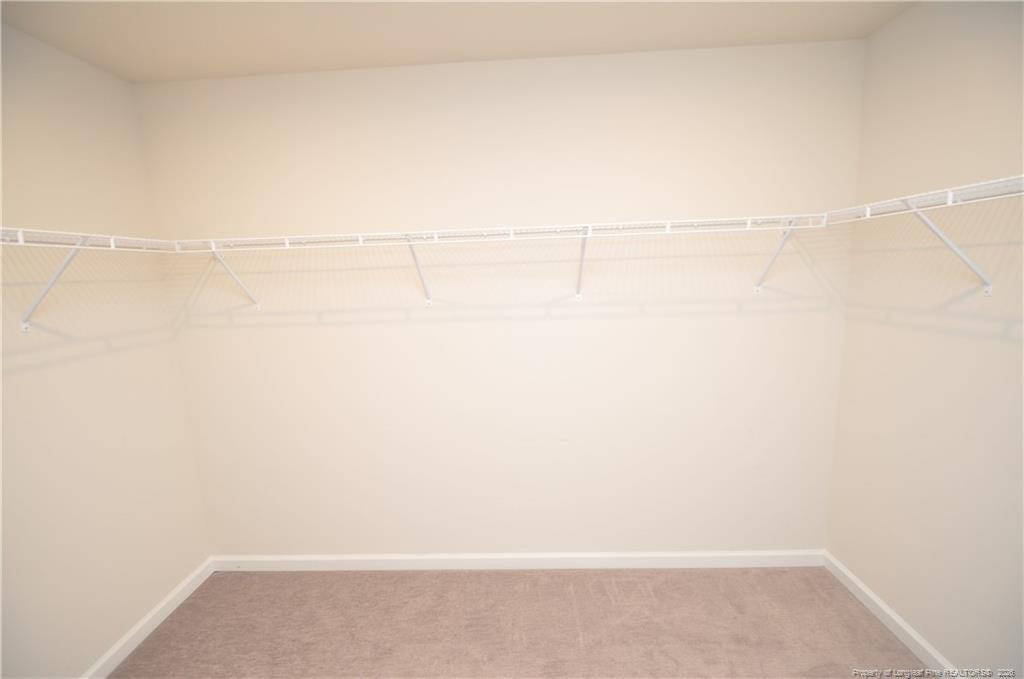1107 Doe Blossom Lane - Photo 29