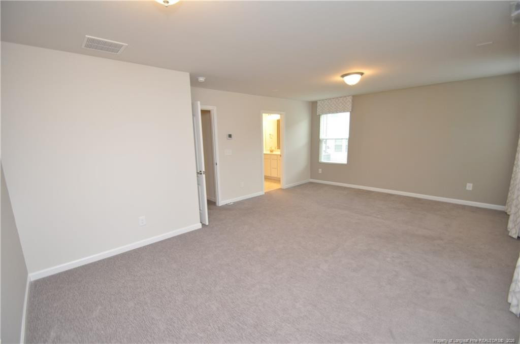 1107 Doe Blossom Lane - Photo 21