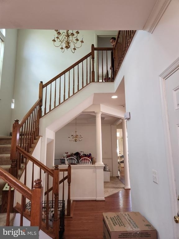8941 Wynnefield Court - Photo 6