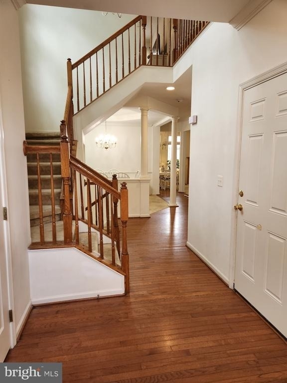 8941 Wynnefield Court - Photo 24