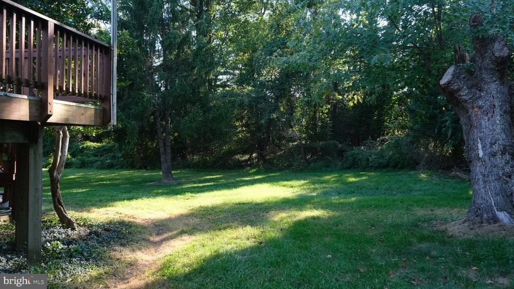 1636 Great Falls Street - Photo 27