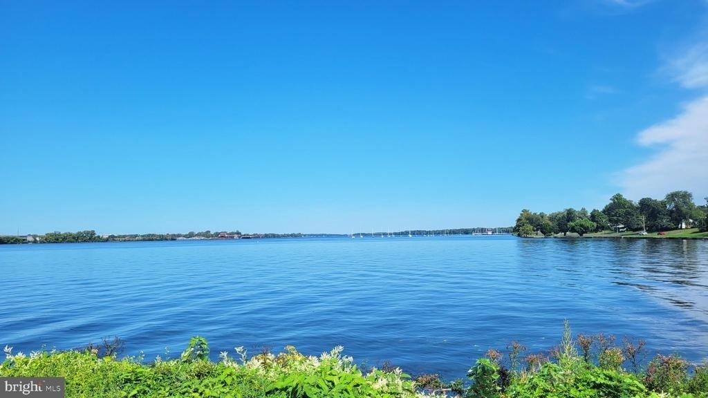 1013 Harbour Drive - Photo 25
