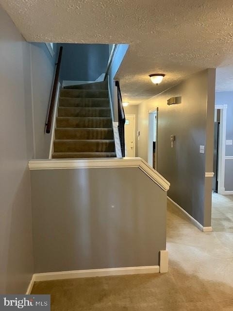 22416 Greenview Court - Photo 4