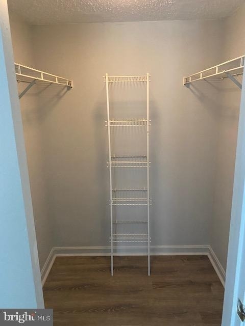 10304 Westridge - Photo 10
