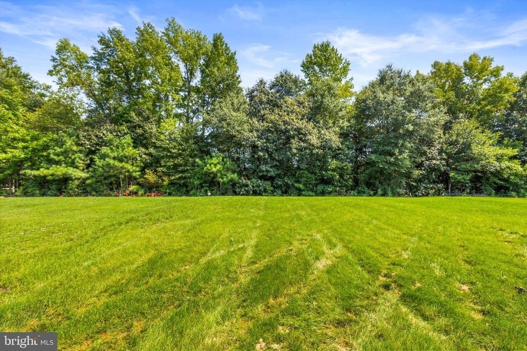 38551 Winterberry Drive - Photo 20
