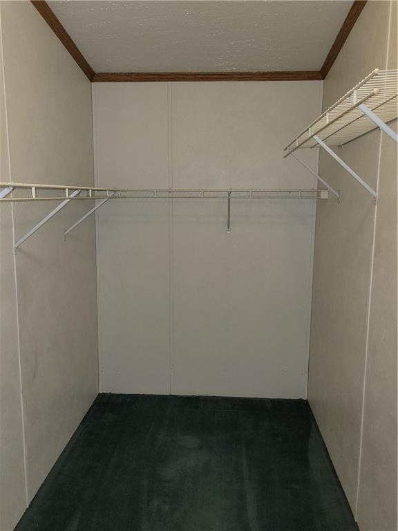 517 Olivia Ct - Photo 2