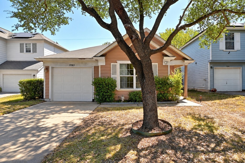7203 Alegre Pass - Photo 0