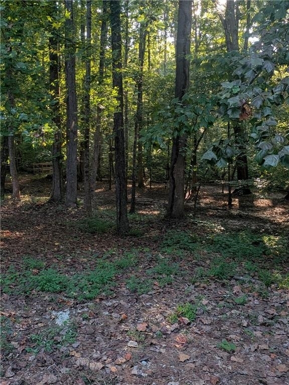 205 Shefield Place - Photo 24