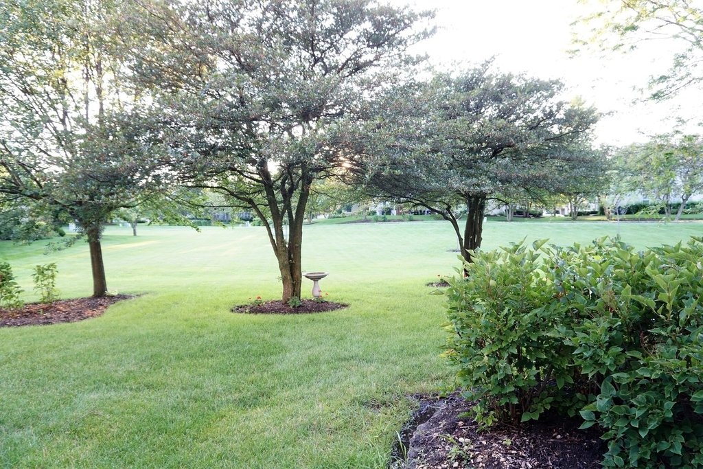 172 Crescent Lane - Photo 20