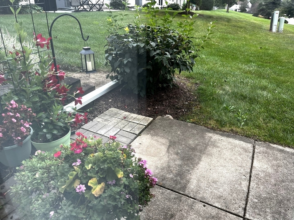 2117 Orchard Lane - Photo 18