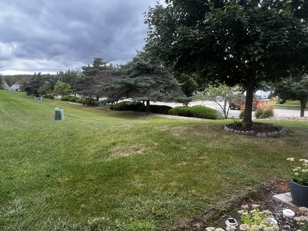 2117 Orchard Lane - Photo 20