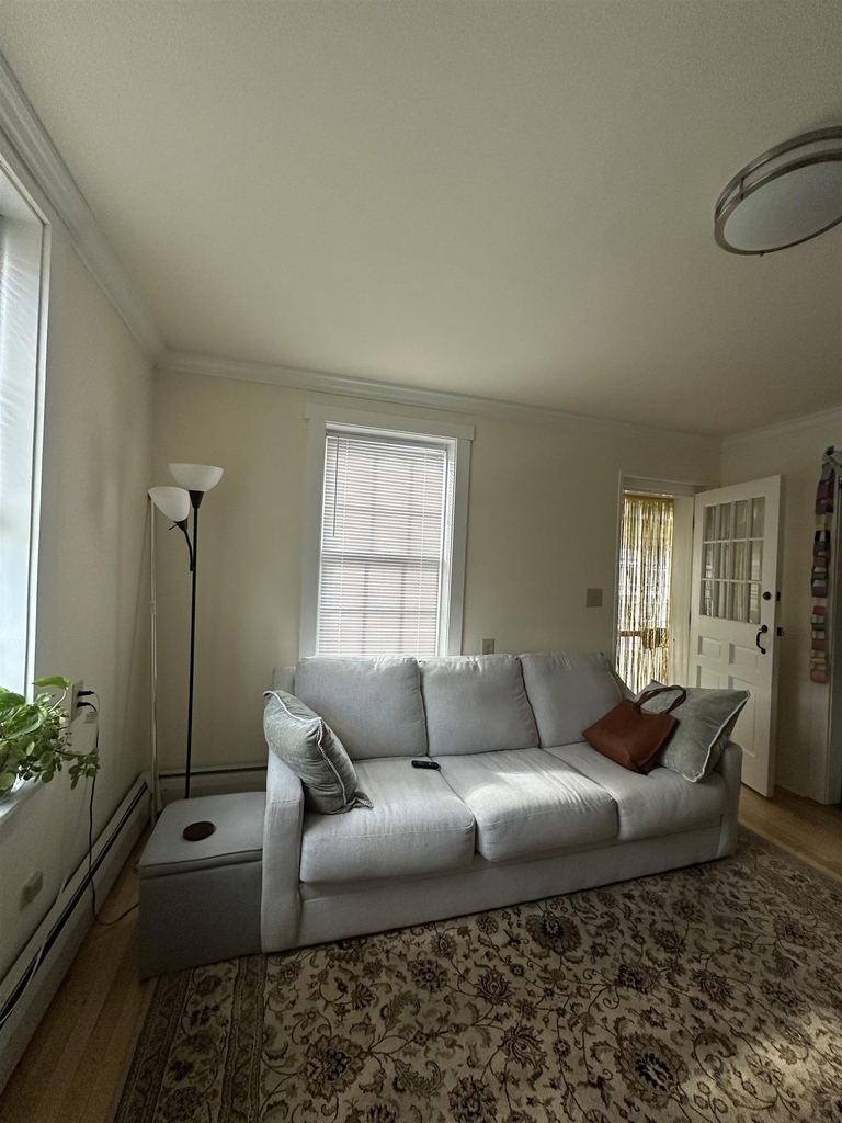 233 Pearl - Photo 3