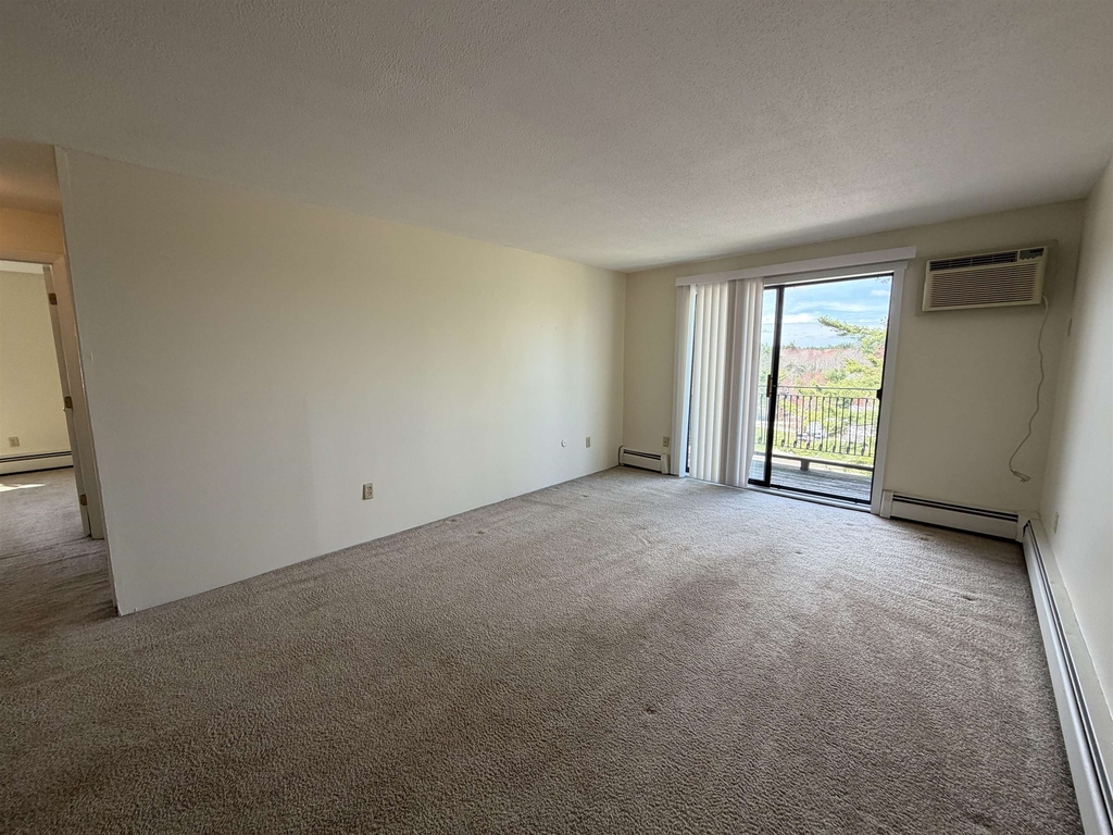 134 Mammoth - Photo 3