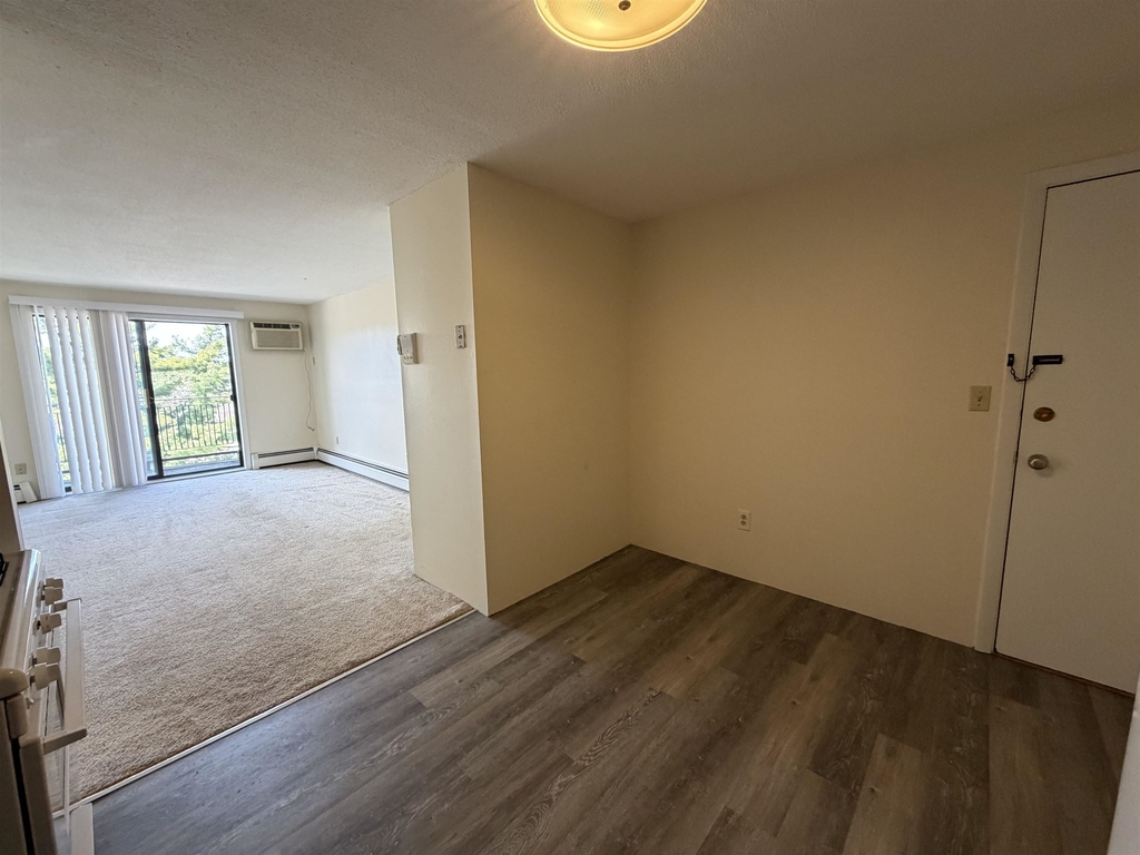 134 Mammoth - Photo 2