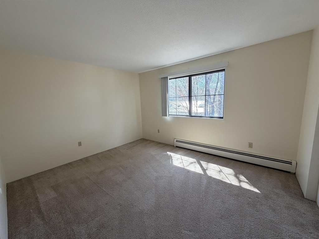 134 Mammoth - Photo 7